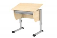 Парта для детей с ОВЗ 13 положений столешницы