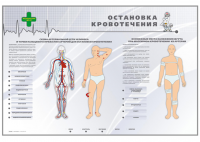 Электрифицированный стенд "Остановка кровотечения"