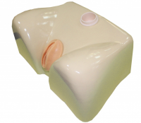 Тренажер для катетеризации мочевого пузыря (женский)