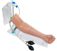 Тренажер для отработки навыков внутривенных, подкожных и внутрикожных инъекций (рука от предплечья до кисти) с клапанами 1.01